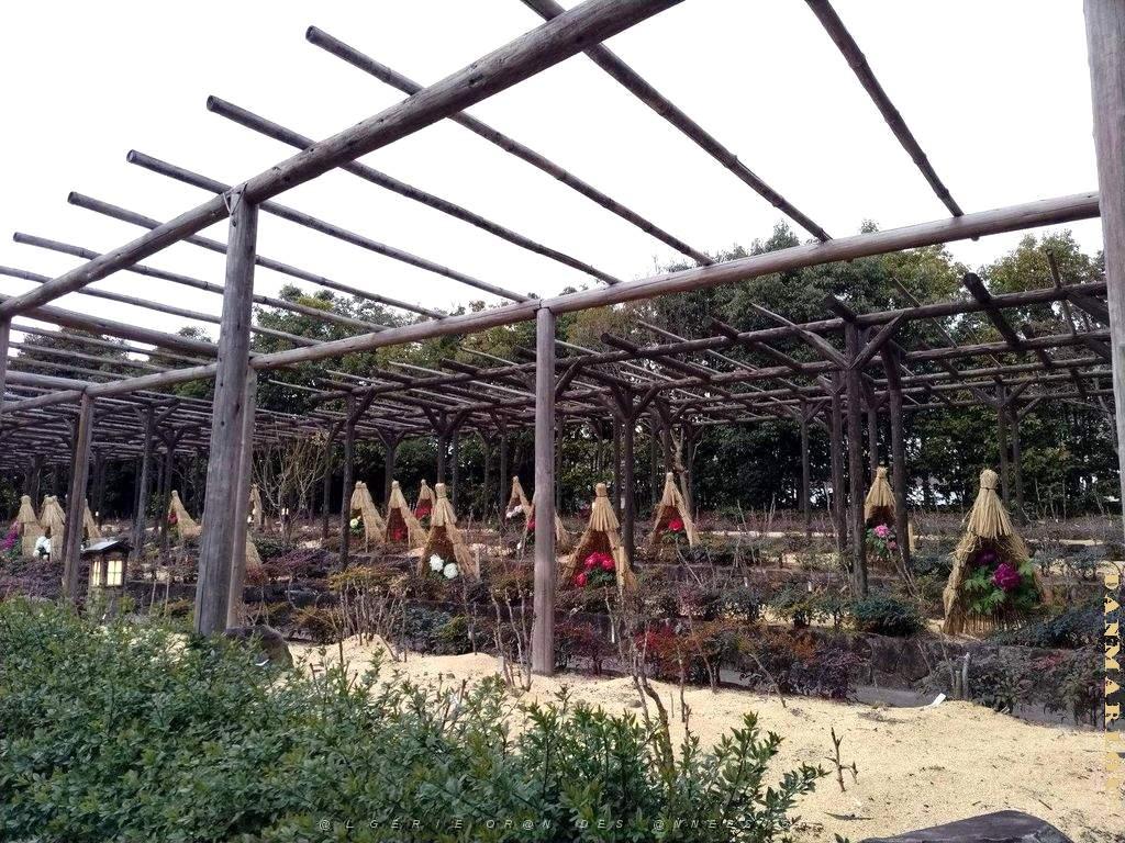 NAGOYA - Parc Tokugawa - 10.01.2024 - 23.jpg